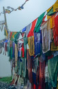 01_Ladakh_2000_Hemis_Trek_Bild_047