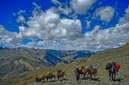 02_Ladakh_2000_Hemis_Trek_Bild_018