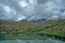 03_Ladakh_2000_Hemis_Trek_Bild_018
