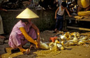 02_Vietnam_April_95_Bild_064