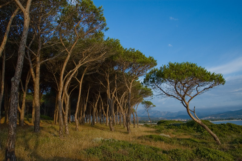 2007_06_07_Sardinien_084