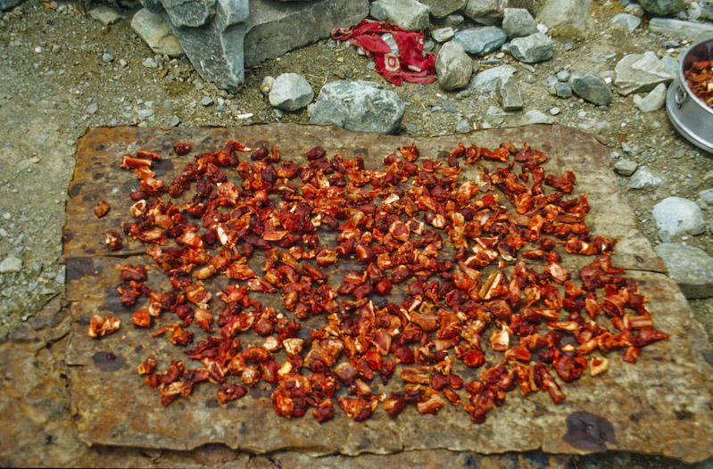 01_Ladakh_2000_Hemis_Trek_Bild_065