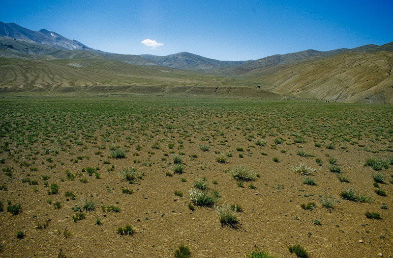 02_Ladakh_2000_Hemis_Trek_Bild_045