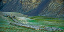 02_Ladakh_2000_Hemis_Trek_Bild_077