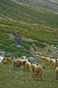 03_Ladakh_2000_Hemis_Trek_Bild_027