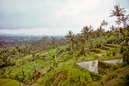 01_Java_93_Bild_074