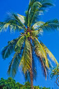 02_Malaysia_Jan_94_Bild_051