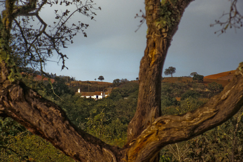 01_Portugal_1995_Bild_025