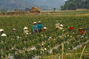 01_Vietnam_April_95_Bild_074