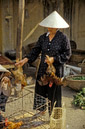 04_Vietnam_April_95_Bild_038