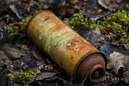 Belichtung: 1/30 Sek. bei f / 5.6  |  Brennweite: 130 mm  |  ISO: ISO 200  |  Kamera: NIKON D70