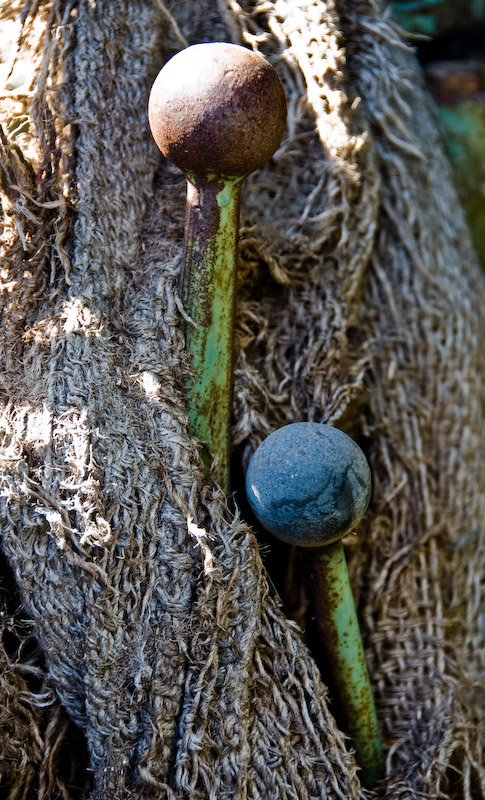 Belichtung: 1/40 Sek. bei f / 5.6  |  Brennweite: 135 mm  |  ISO: ISO 200  |  Kamera: NIKON D70